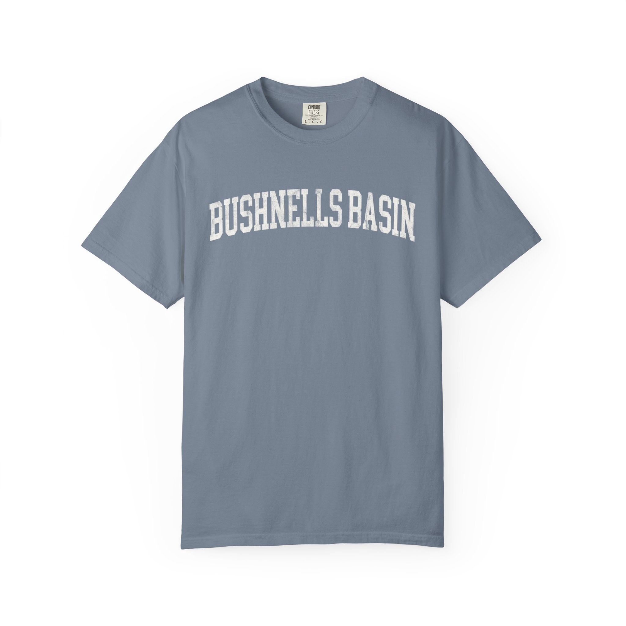 Bushnell's Basin Garment-Dyed Tee in Samantha Blue, front — BUSHNELLS BASIN lettering