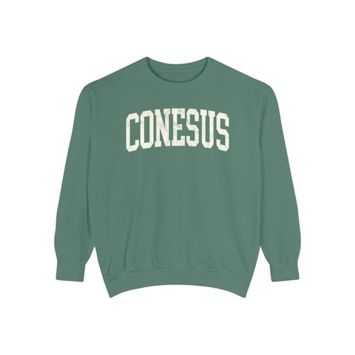 Conesus Garment-Dyed Crewneck in Light Green