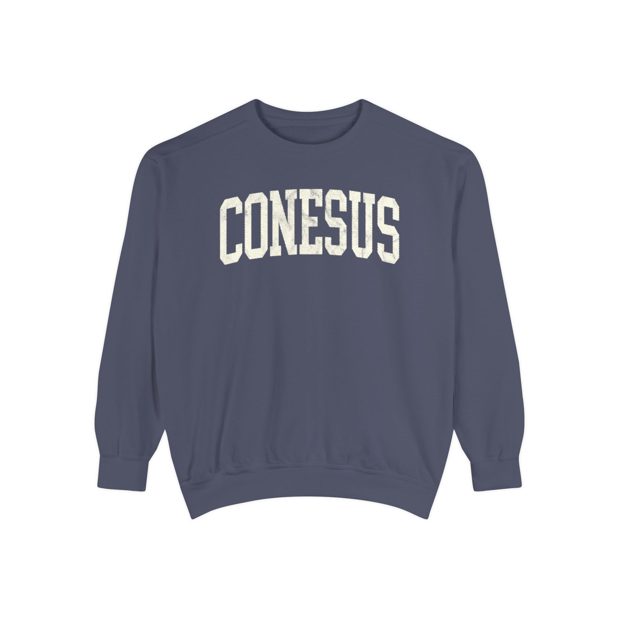 Conesus Garment-Dyed Crewneck in Predawn, front — CONESUS lettering