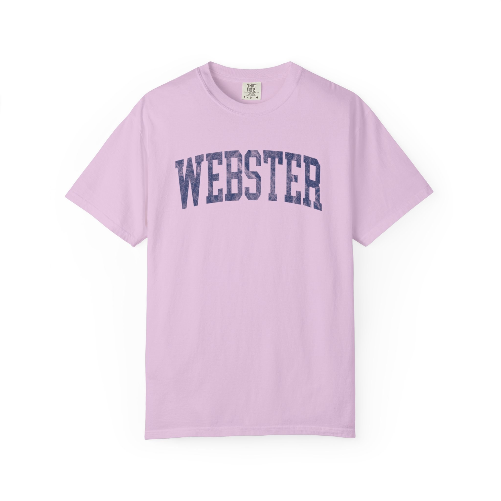 Webster Garment-Dyed Tee in Lilac Szn, front — WEBSTER lettering