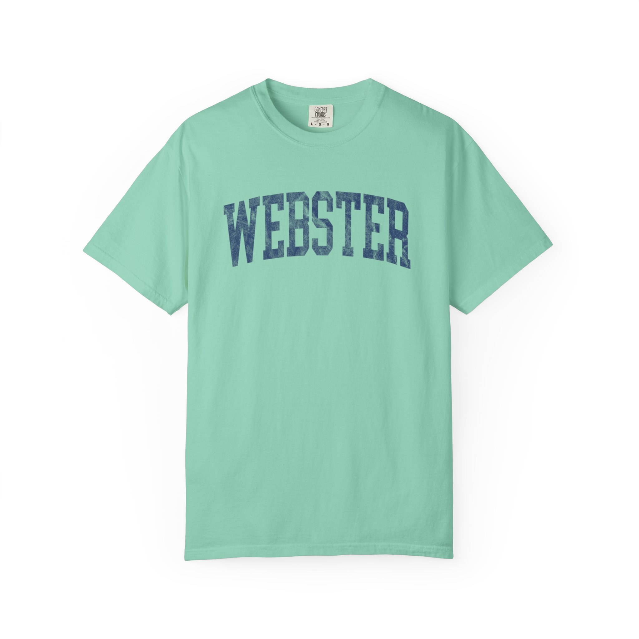 Webster Garment-Dyed Tee in Teal Good Inc, front — WEBSTER lettering